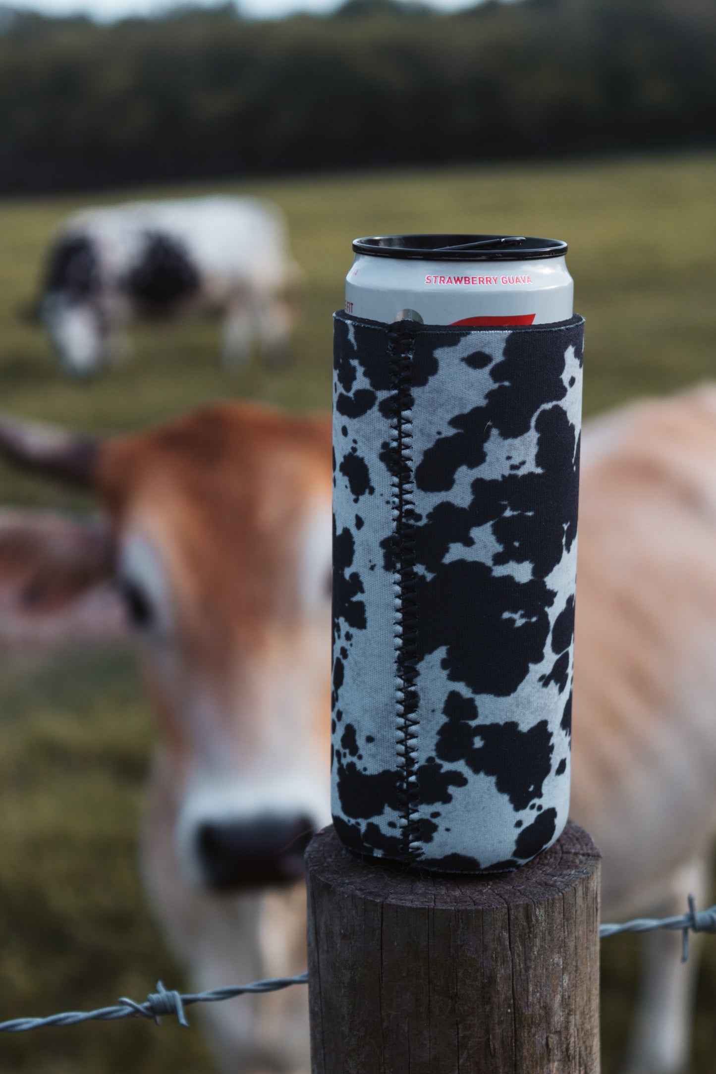 Saddle Up Black Cow Print Tall koozie