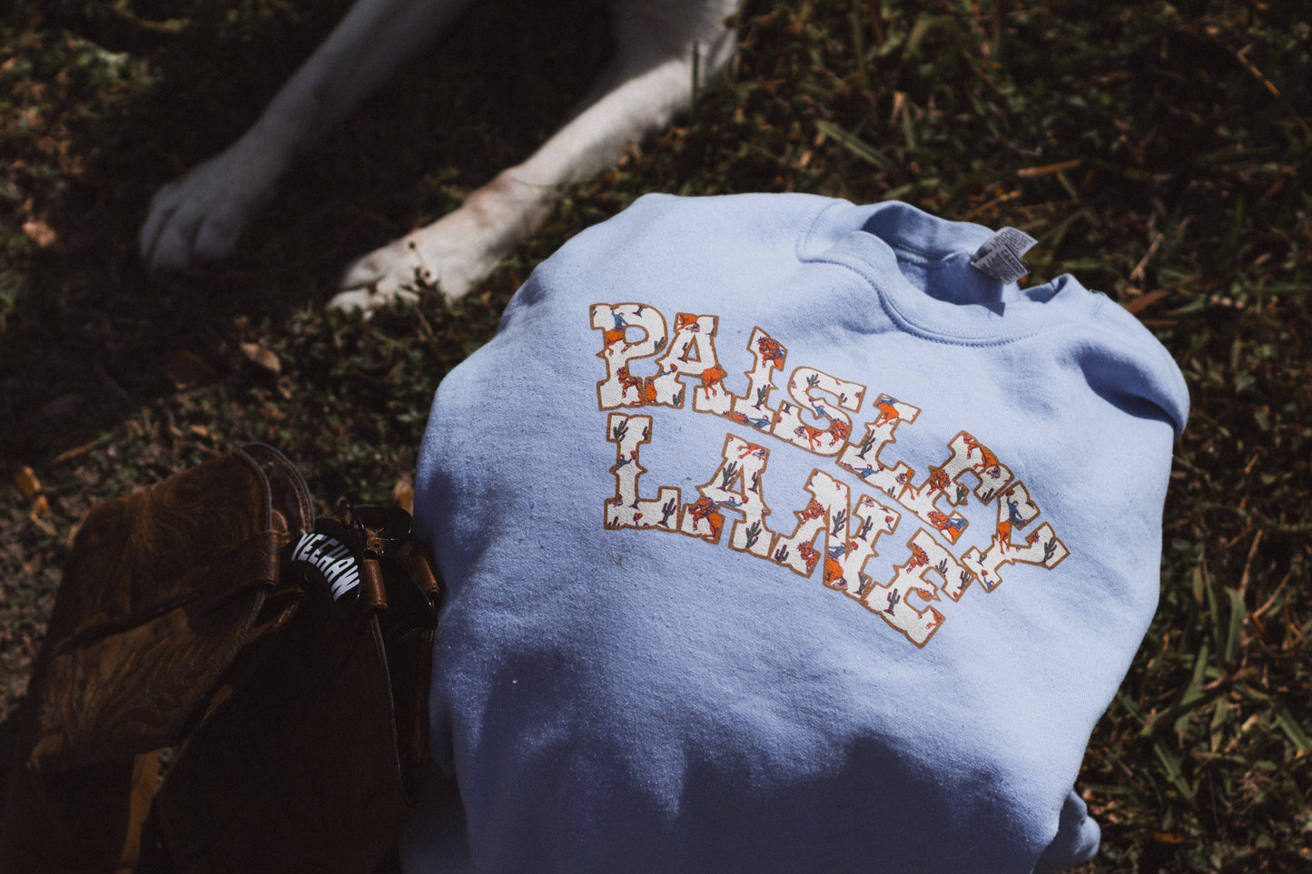 Paisley Lane Sweatshirt 2.0