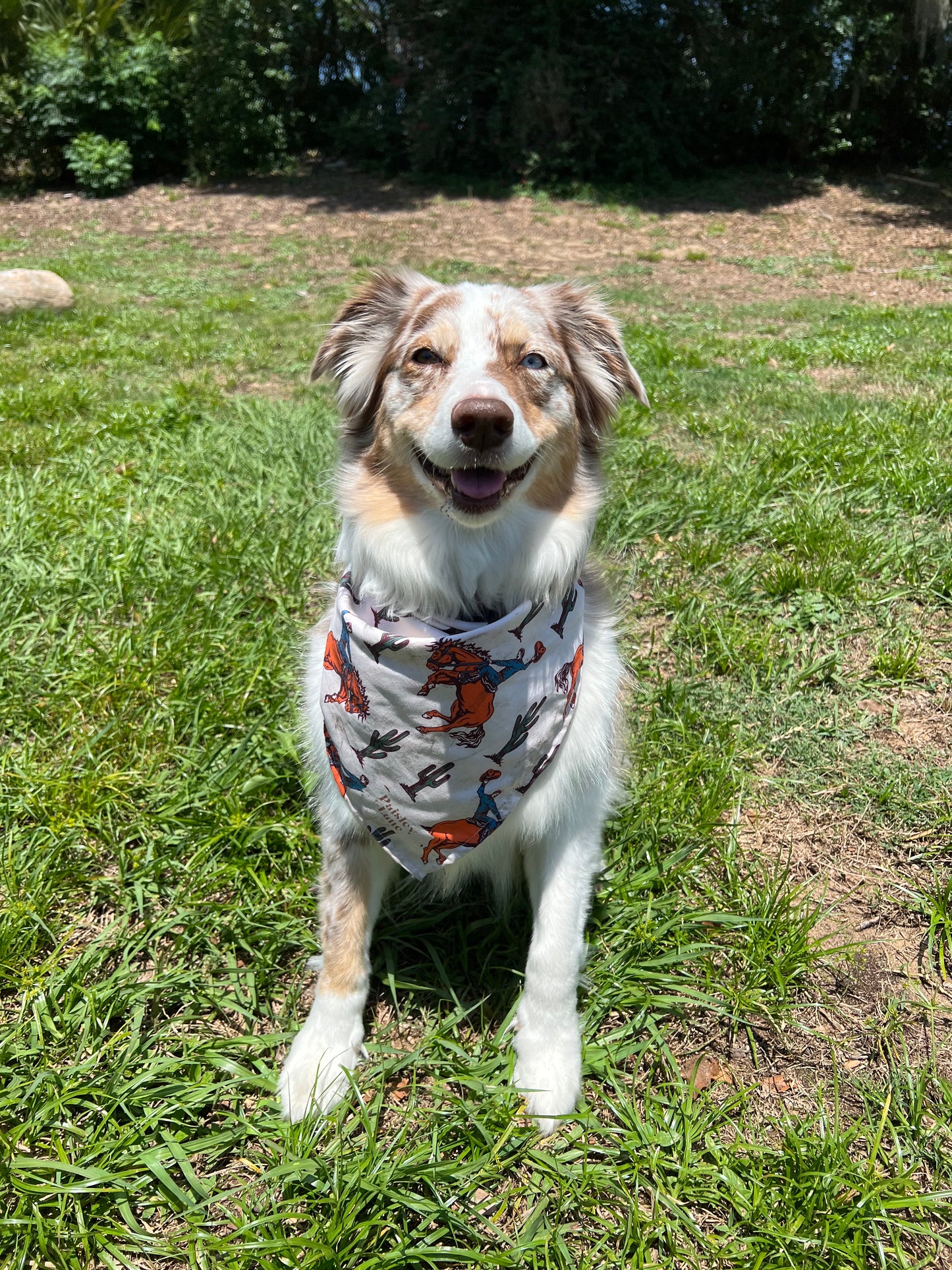 Buckin Bronc Bandana